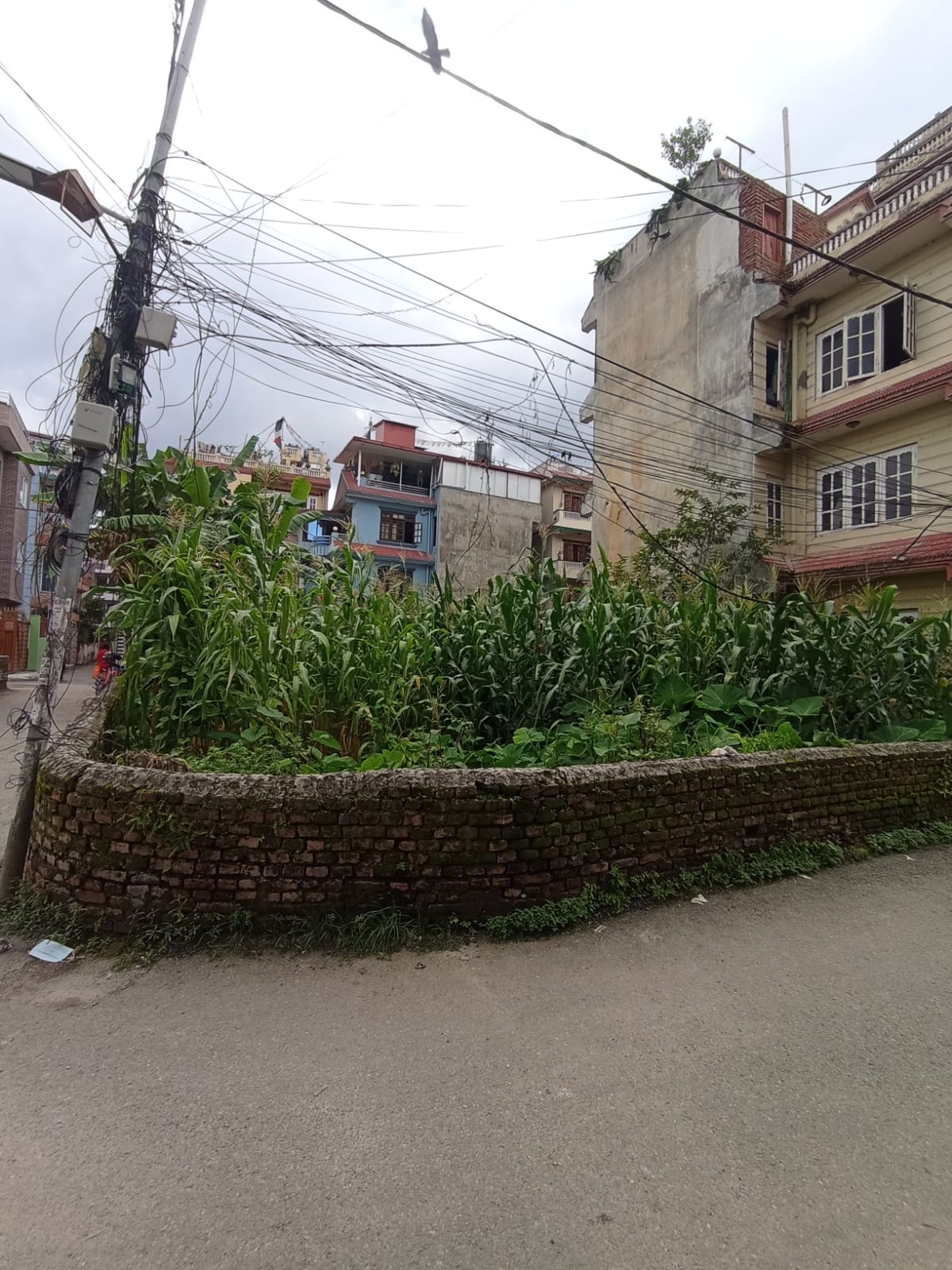 property-image